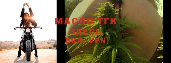 дмт Горняк