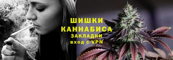 дмт Горняк