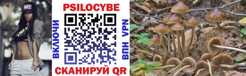 Галлюциногенные грибы GOLDEN TEACHER Далматово